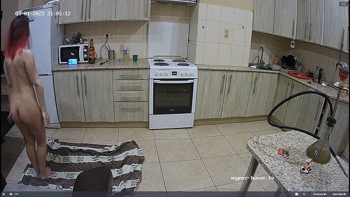 Ashampoo_Snap_mercredi 1 mars 2023_19h5m59s_012_Hut TV apartment with reallifecam cameras at Voyeur House TV - Google Chrome