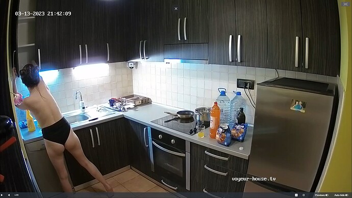 Ashampoo_Snap_lundi 13 mars 2023_21h42m57s_102_Nikki apartment with reallifecam cameras at Voyeur House TV - Google Chrome