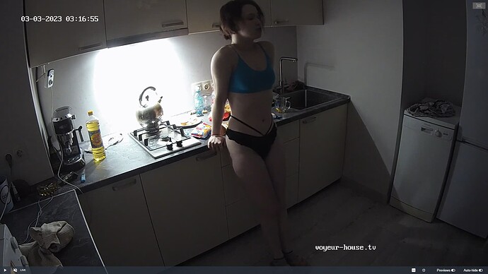 Ashampoo_Snap_vendredi 3 mars 2023_1h18m52s_024_Kitchen camera at Wendy reallifecam apartment at Voyeur House TV (cam12) - Google Chrome