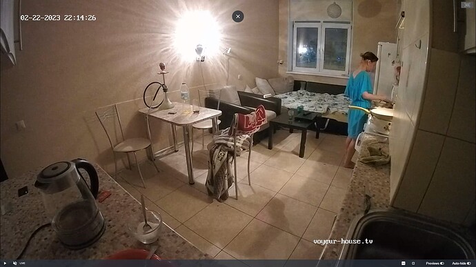 Ashampoo_Snap_mercredi 22 février 2023_20h15m5s_005_Kitchen camera at Tonk reallifecam apartment at Voyeur House TV (cam11) - Google Chrome