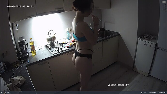 Ashampoo_Snap_vendredi 3 mars 2023_1h17m8s_022_Kitchen camera at Wendy reallifecam apartment at Voyeur House TV (cam12) - Google Chrome