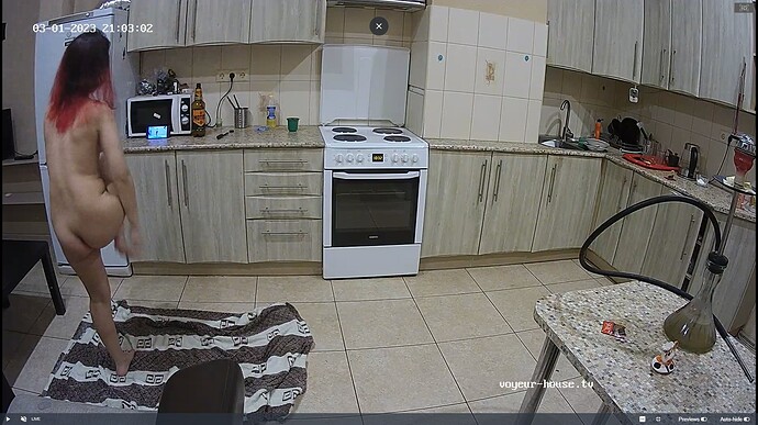 Ashampoo_Snap_mercredi 1 mars 2023_19h3m56s_011_Hut TV apartment with reallifecam cameras at Voyeur House TV - Google Chrome