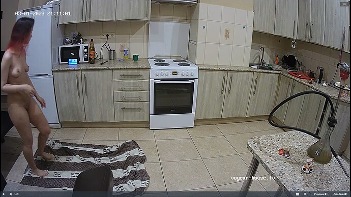 Ashampoo_Snap_mercredi 1 mars 2023_19h12m46s_015_Hut TV apartment with reallifecam cameras at Voyeur House TV - Google Chrome