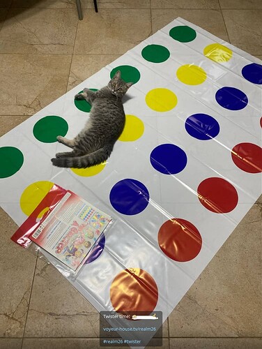 cat twister