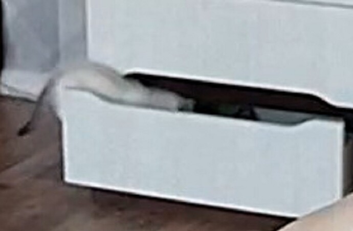 Is it allowed in the drawer up close