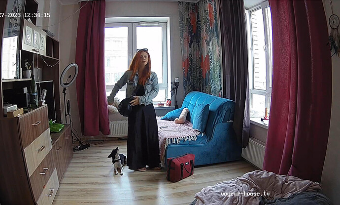 Screenshot 2023-07-27 at 13-18-30 Living room camera at Lelya Mult reallifecam apartment at Voyeur House TV (cam14)