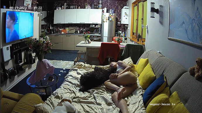 Screenshot 2023-08-18 at 21-08-39 Living room camera at Tyrone & Cindy reallifecam apartment at Voyeur House TV (cam15)