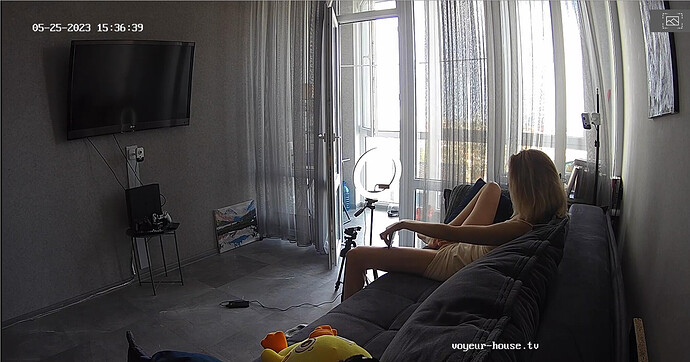 Screenshot 2023-05-25 at 12-35-03 Guest bedroom camera at Sophia Elon Claudia reallifecam apartment at Voyeur House TV (cam110)