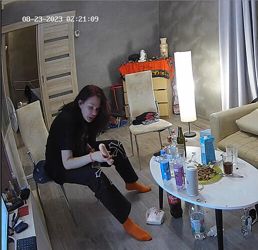 Screenshot 2023-08-22 at 19-27-47 Living room camera at Alida Gerda reallifecam apartment at Voyeur House TV (cam13)