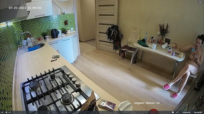 Ashampoo_Snap_mardi 25 juillet 2023_14h4m52s_009_Ceres apartment with reallifecam cameras at Voyeur House TV - Google Chrome