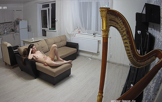 Screenshot 2023-06-12 at 11-08-09 Bedroom camera at Tali & Mariusz reallifecam apartment at Voyeur House TV (cam17)