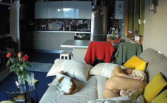 Screenshot 2023-08-16 at 22-42-15 Tyrone & Cindy apartment with reallifecam cameras at Voyeur House TV