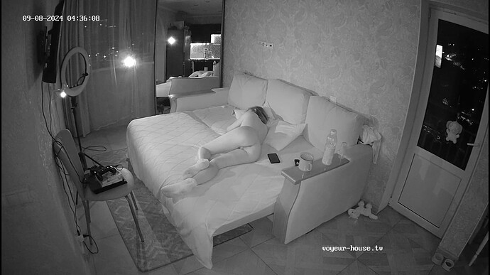 Ashampoo_Snap_dimanche 8 septembre 2024_3h36m47s_001_Living room camera at Persephone & Mr. Art reallifecam apartment at Voyeur House TV (cam15) - Google Chrome