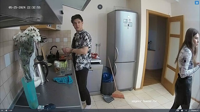 Ashampoo_Snap_samedi 25 mai 2024_18h33m41s_008_Kitchen camera at Tonk, Alexander & Martha reallifecam apartment at Voyeur House TV (cam11) - Google Chrome