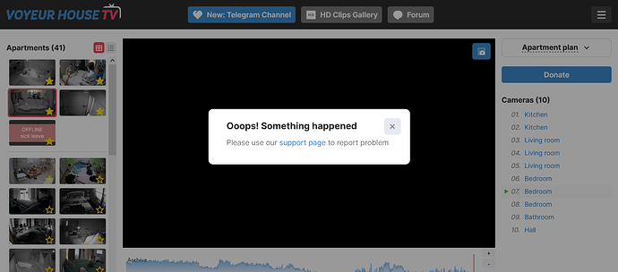bedroom cam 7 offline