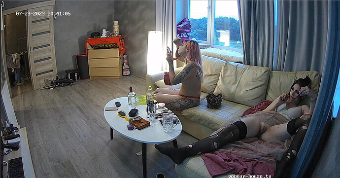 Screenshot 2023-07-23 at 13-41-52 Living room camera at Alida Gerda reallifecam apartment at Voyeur House TV (cam14)