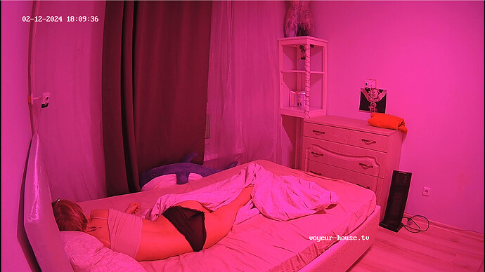 Screenshot 2024-02-12 at 10-21-41 Bedroom camera at Tea Mint reallifecam apartment at Voyeur House TV (cam18)