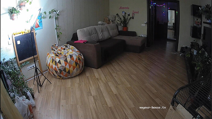 Screenshot 2024-07-12 at 14-37-54 Living room camera at Ariela reallifecam apartment at Voyeur House TV (cam15)