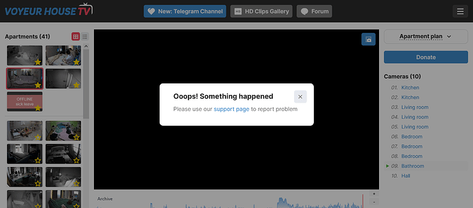 Bathroom cam offline