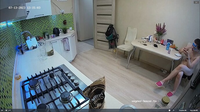 Ashampoo_Snap_jeudi 13 juillet 2023_12h15m34s_003_Flora apartment with reallifecam cameras at Voyeur House TV - Google Chrome