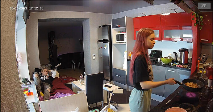 Screenshot 2024-02-16 at 06-50-46 Tonk apartment with reallifecam cameras at Voyeur House TV