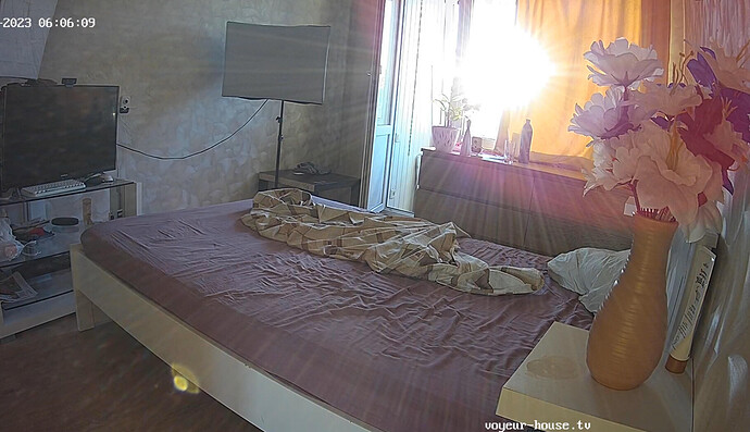 Screenshot 2023-08-13 at 23-08-00 KayaEyes Stive Pure Kitty apartment with reallifecam cameras at Voyeur House TV