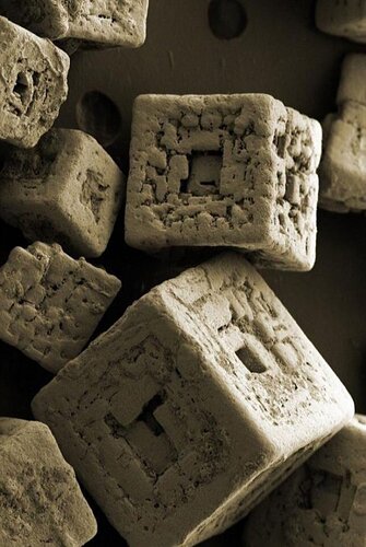 Grains of salt under an electron microscope
