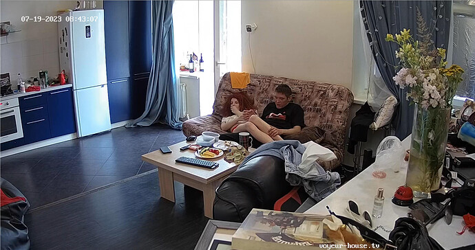 Screenshot 2023-07-19 at 01-44-07 Living room camera at Henry reallifecam apartment at Voyeur House TV (cam16)