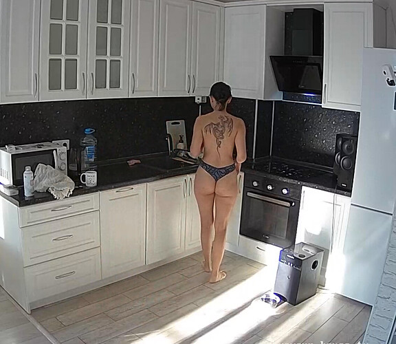 Screenshot 2023-08-13 at 00-09-45 Kitchen camera at Flora reallifecam apartment at Voyeur House TV (cam11)