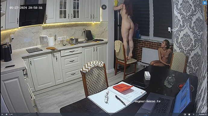 Ashampoo_Snap_lundi 27 mai 2024_19h50m46s_019_Kitchen camera at Amelie & Lucas, Oscar & Pearl reallifecam apartment at Voyeur House TV (cam11) - Google Chrome