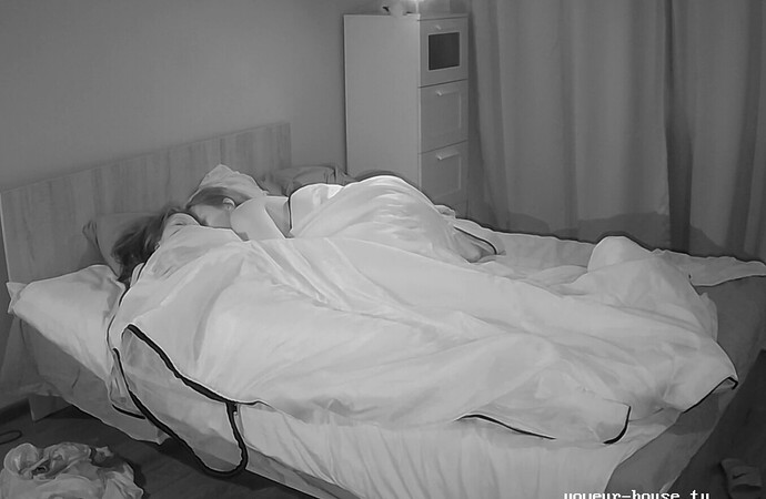 Screenshot 2023-06-22 at 04-39-36 Bedroom camera at Alida reallifecam apartment at Voyeur House TV (cam19)