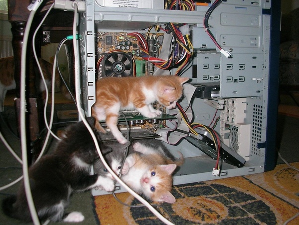 Hello, tech support. The engineers you sent are making everything worse